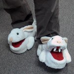 lapin