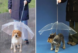 parapluie-pour-chiens-original
