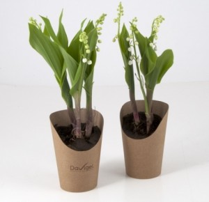 pot-muguet-personnalisé-irmpimé