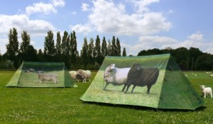 tente-personnalisée-moutons