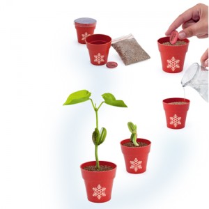 Pot-de-fleurs-biodégrable-personnalisé-Noël-6340