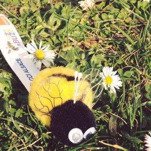 winnie-abeille-bizz&buzz-2014 (1)