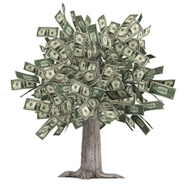 Money tree