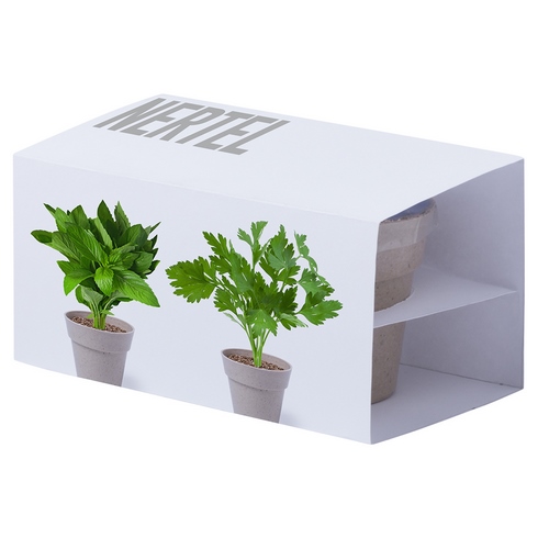 Pots de fleurs personnalisés avec graines